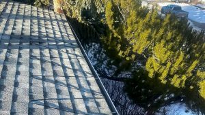 Roof With Heat cables in Calgary Alberta during winter