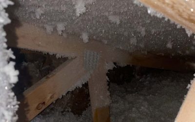 Attic Rain in Calgary: Top 8 Questions Answered