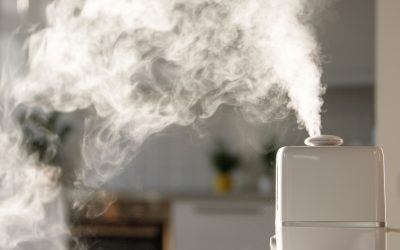 Humidifiers in Your Calgary Home. Why It Might Not Be the Best Idea.