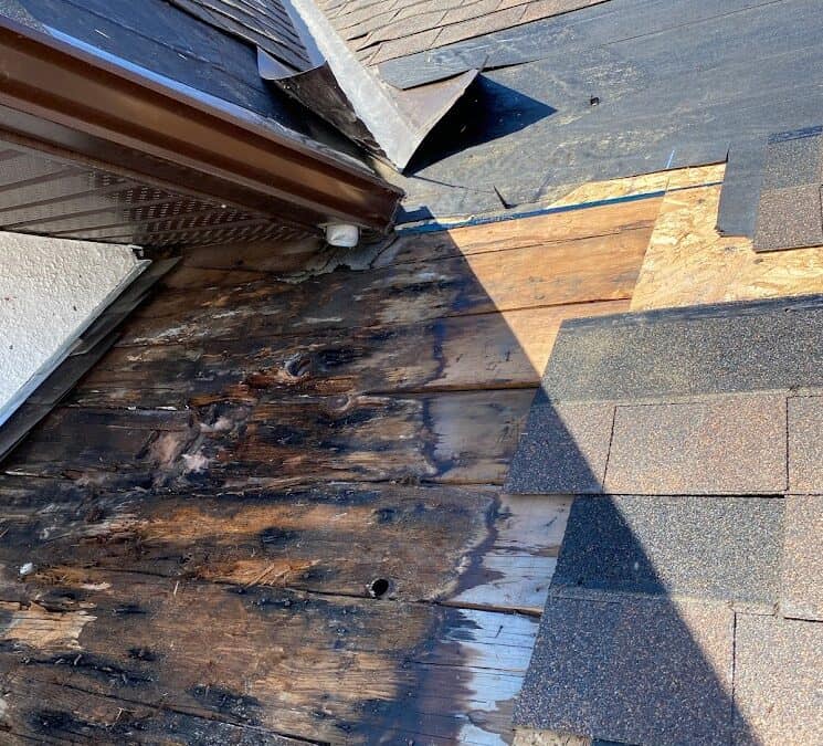 10 Early Signs of a Leaky Roof