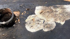 white mould spots on a roof in calgary