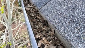 A gutter in Calgary that is full of debris and needs to be cleaned