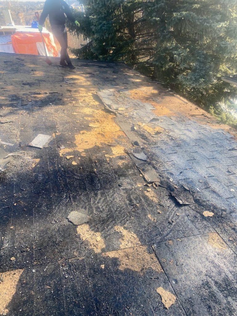 A torn off roof showing decking and roofing layers