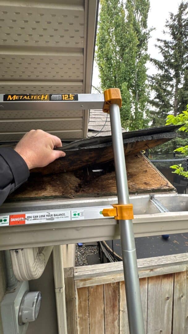 Roofer lifting damaged shingles to reveal rotted plywood decking during a roof inspection in Calgary.