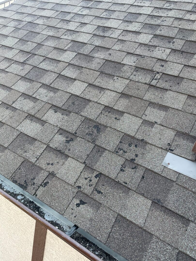 Hail-damaged asphalt shingles on a Calgary roof.