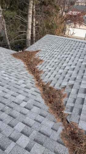 a bunch of needles and debris in the valley of a home