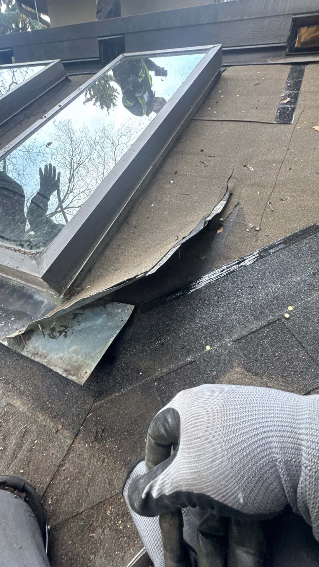 Skylight on a Calgary asphalt shingle roof with the flashing torn loose, bituminous underlayment exposed, and a bent metal step-flashing piece pulled away from the shingles.