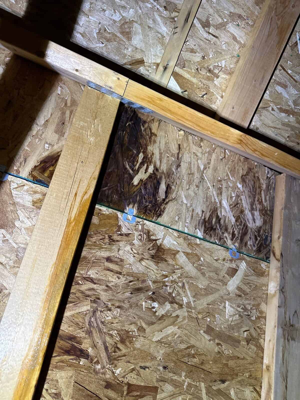 Wet stained OSB roof sheathing visible from inside an attic