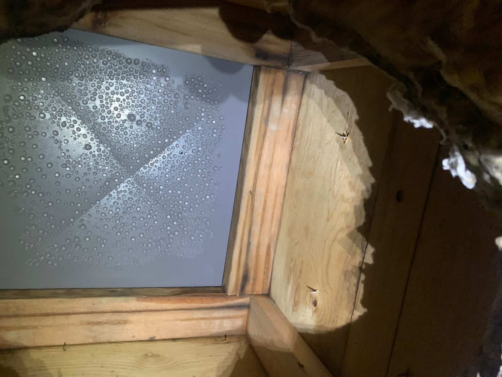 Condensation droplets forming on the underside of a skylight inside an attic
