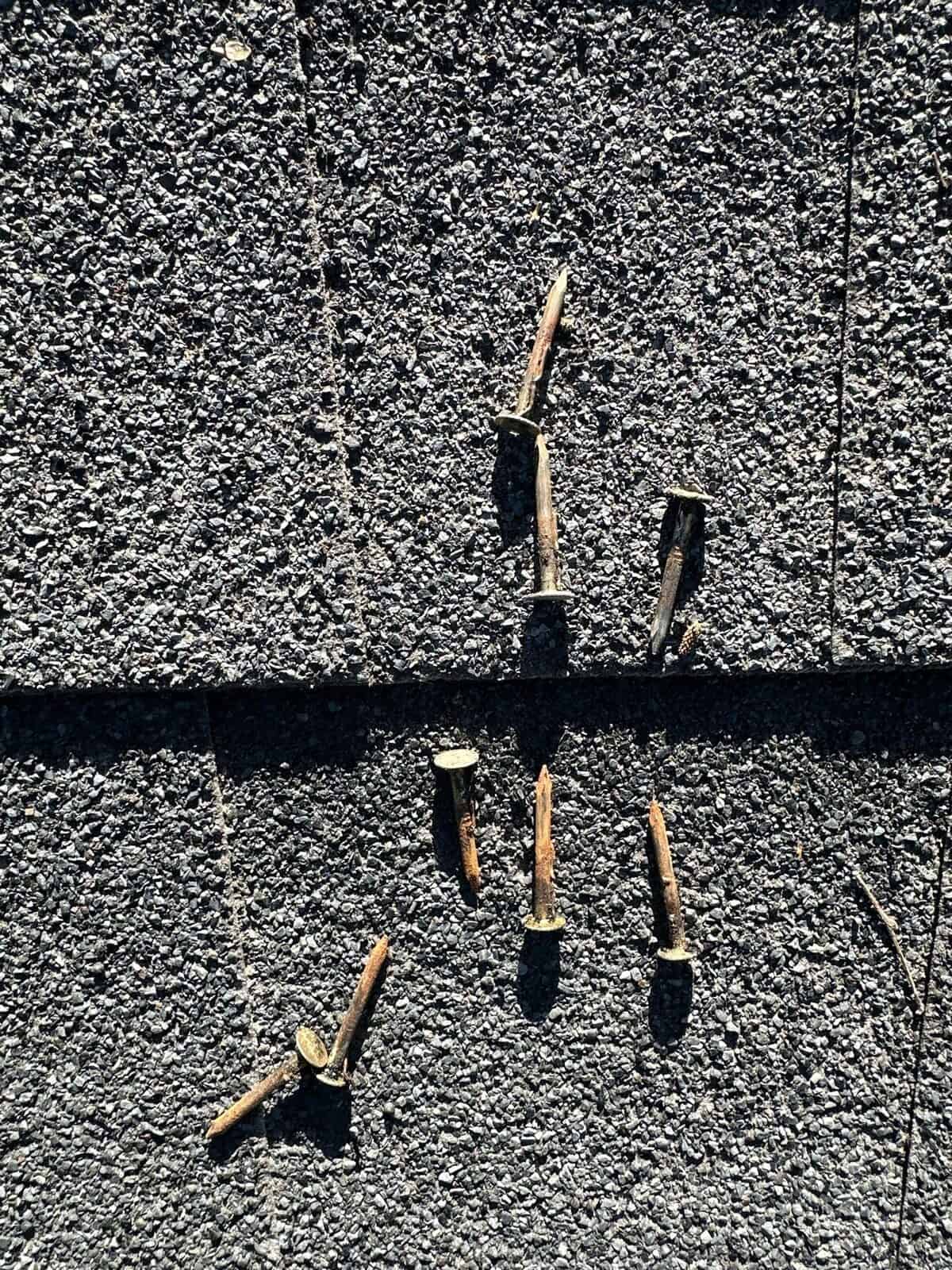 Rusted roofing nail ends removed from asphalt shingles, showing signs of attic moisture exposure