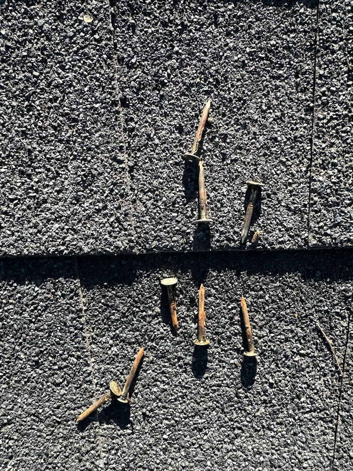 Removed asphalt shingle showing rusted nail tips from attic moisture issues